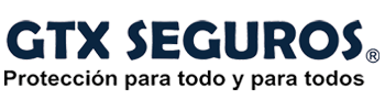 LogoPequeñoGTX